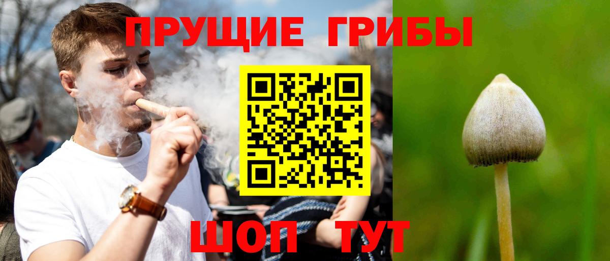 Керчь  Псилоцибиновые грибы мухоморы  Вход с VPN  Галлюциногенные грибы GOLDEN TEACHER 